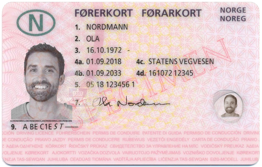 Norwegian driver's license